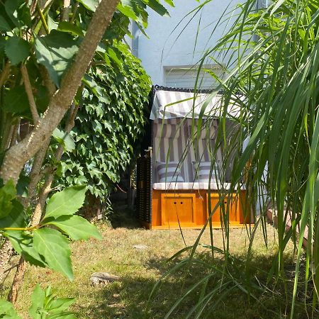 Ferienapartment Casa Heideblick Mit Sonnenterrasse & Garten Радеберг Екстериор снимка