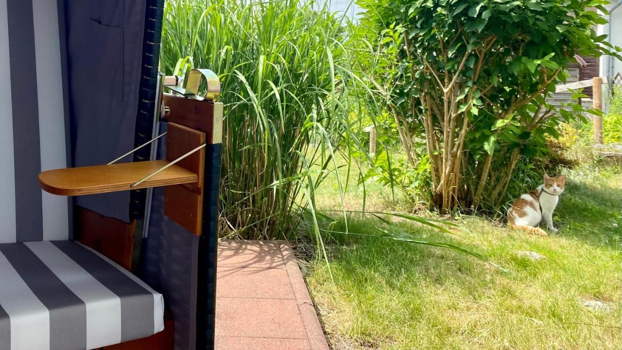 Ferienapartment Casa Heideblick Mit Sonnenterrasse & Garten Радеберг Екстериор снимка